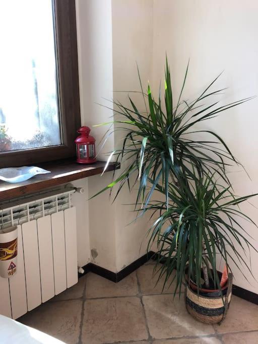 Ca' Cuore In Monferrato Serralunga di Crea Kültér fotó